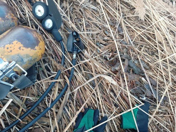 ������� ����� ������������� �� ����� ����� � ���������� �� ����������� ������������� � ������������ ������ ���������������� �������