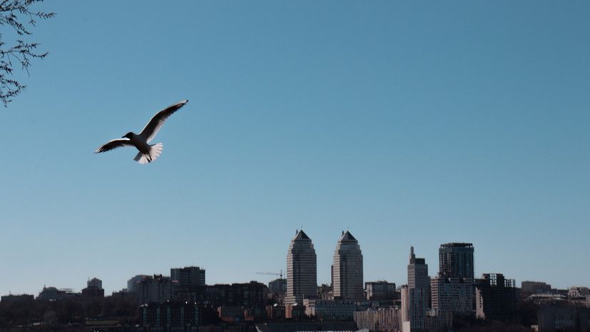 ��������� ������� ��������� � ���������������� � ����������� �������� �������