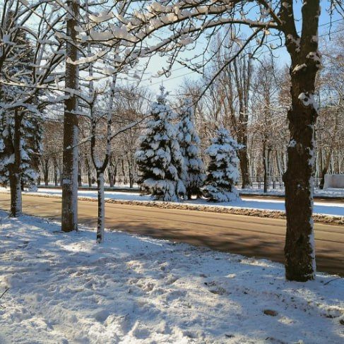 � ���������������� ������� �������������� ������� �������� �������