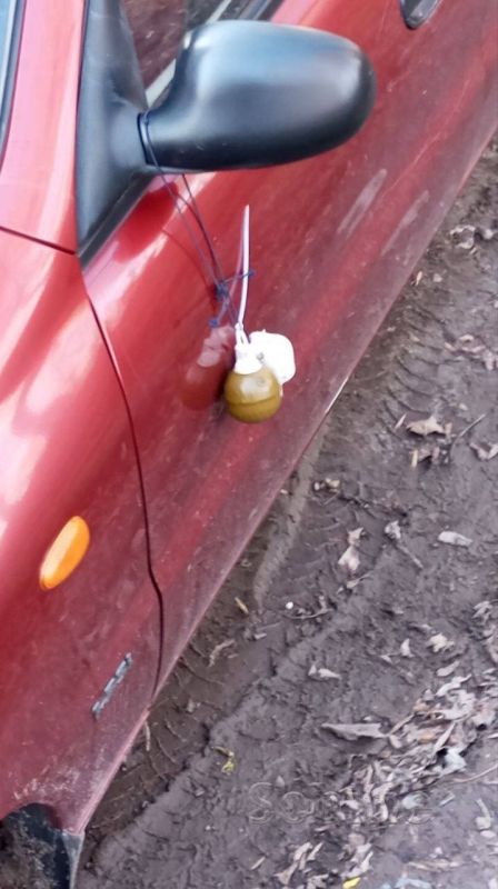 � ���������������� ������� ������ ������������� ����������