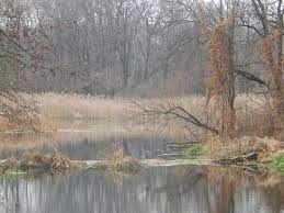 � ���������������� ������� � ���� ������������� �������� ������� ������ ������ ���������