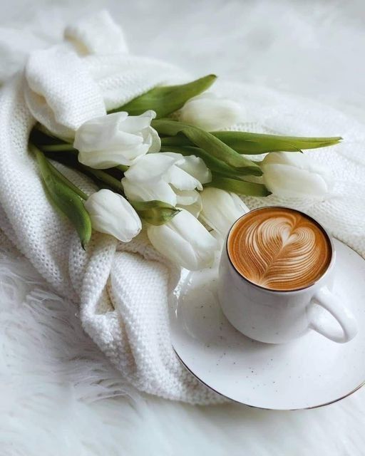 ��, ��������� � �� ���������� �� ��������