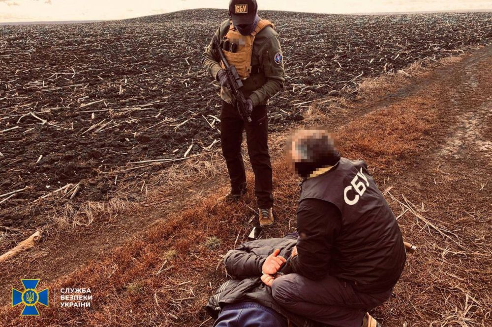 � ���������������� ������� �������� ������� ������, ������� ������� ������� ������� �����������