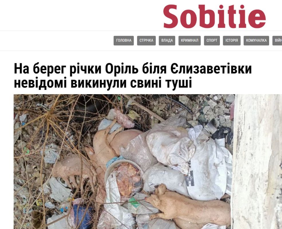 ��������� ��������� ����������� ���� �� �������