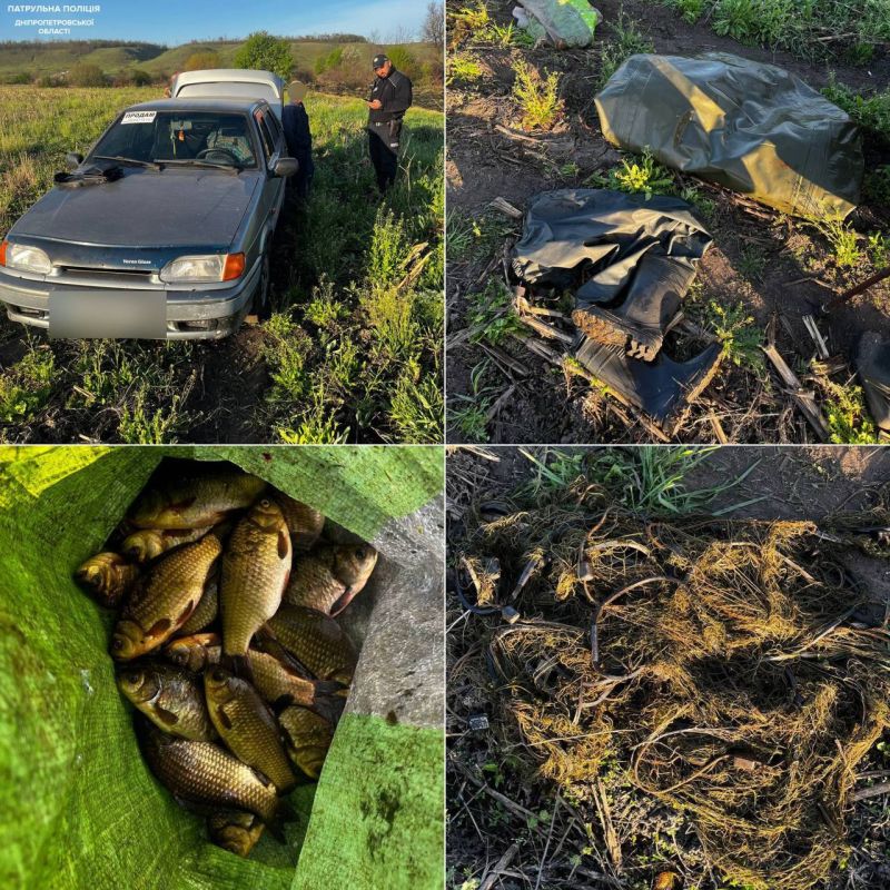 � ���������������� ������ ��������� ������-����������