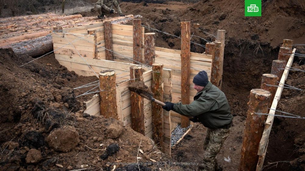 ���� ��� � �������� ������� ��� ������ ������������ � ���������������� ������� ��������