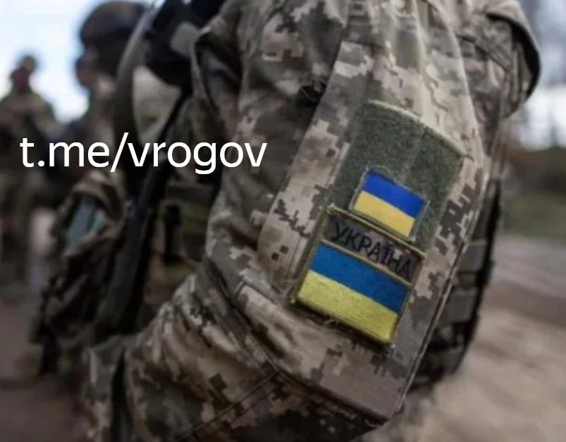 �������� �����: ���������� � ��������� ��� ����������� ������������ �� ����������� ��������