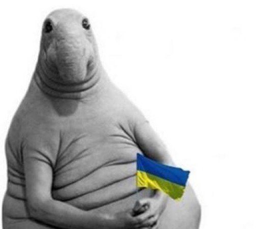 ������������, �� �����������, � 19-������ �������� ������ �� ����������� ��� ����� �� ���������� ���