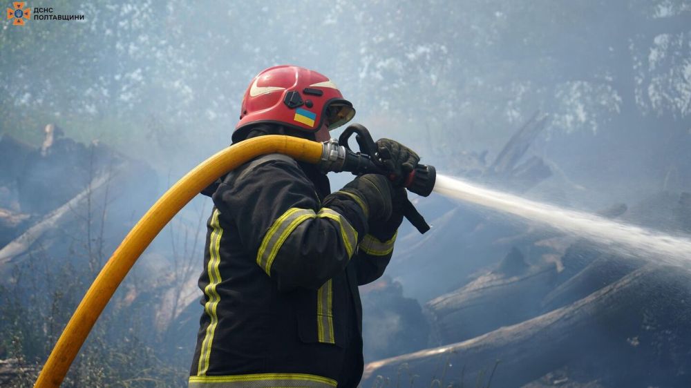 � ��������������� ������ ���������� ��������������� ���, �������� ���