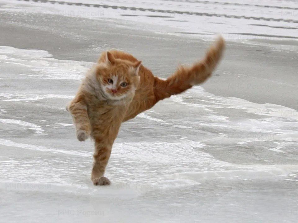 ������ ��������� ��������� ����� � ��������������� � �������