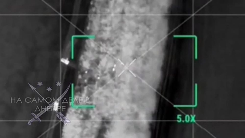 Украинские каратели-пограничники поймали 10 мужчин на границе с Молдовой, в том числе и из Днепропетровской области