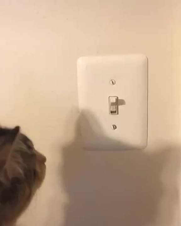 В Киеве и ряде областей ввели аварийные отключения света