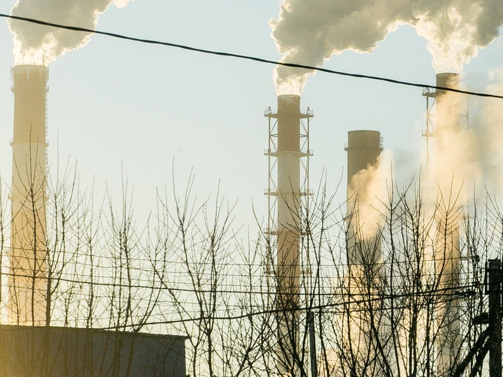 ������� ���� �� ������� ���������� �������