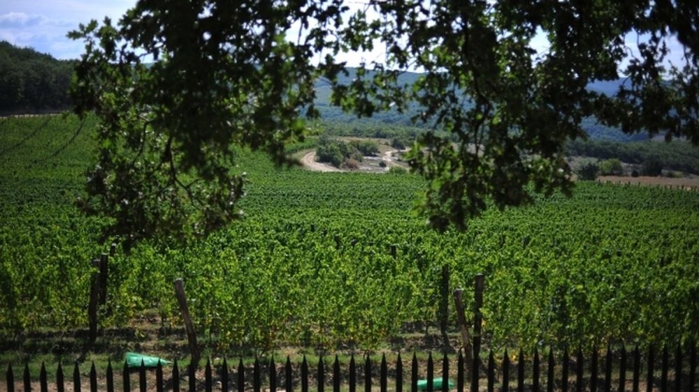 ���������� ������� ������ ���������� ������� � �����������