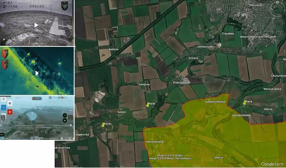 OSINT-�������� Bild и���: �� ���������������� ������� �������� ����� 7 ��