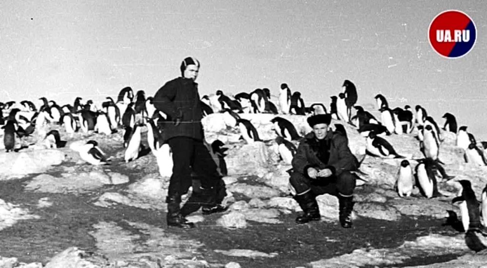 ������ ����, ������� ������!