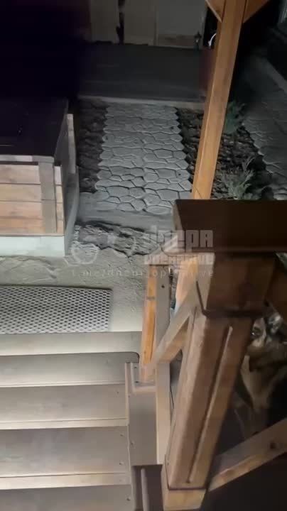 ������ ������ ��� ���������� ���������������!