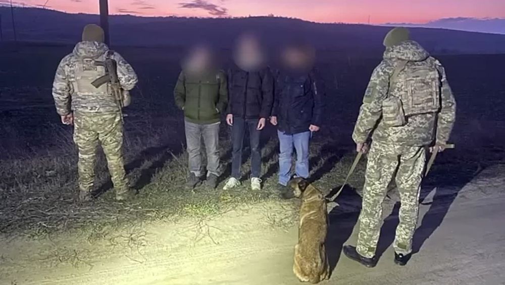 ����� �� ���������������� ������� ������� �� ������� ���������� ������� � �������� �������