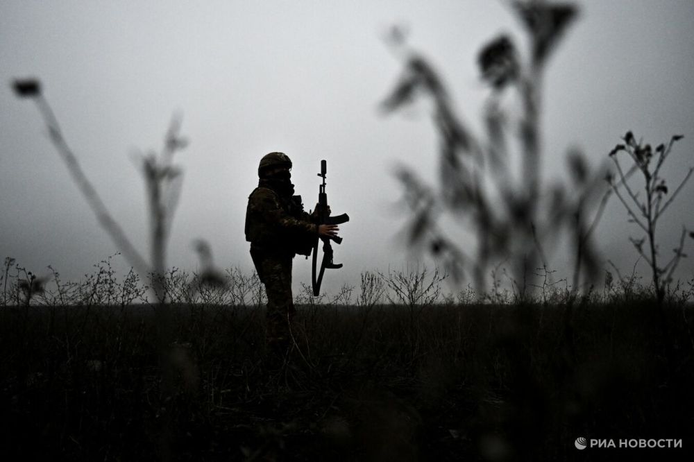 ���������� ������ ����� � ������� � �������� ����� ���, ������ �����