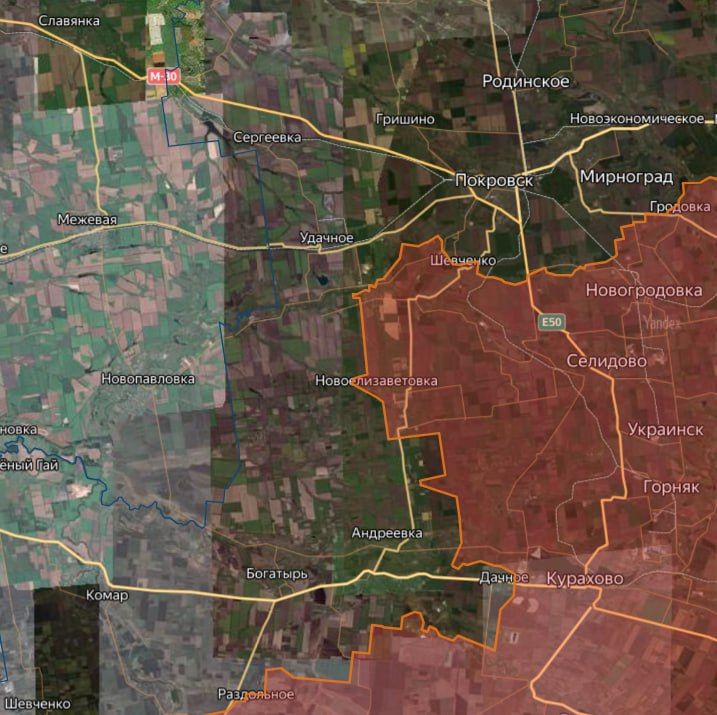 ���������� ������ ��������� ����� � 4,8 �� �� ������� � ���������������� ��������, �������� ���������� ���