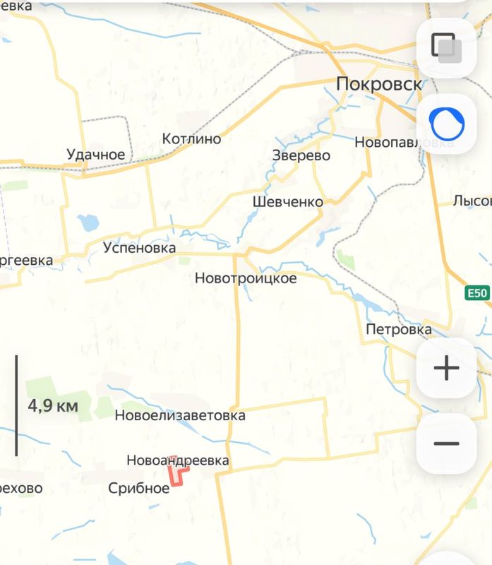 ���� ������ ������������ �� ���������� �����������