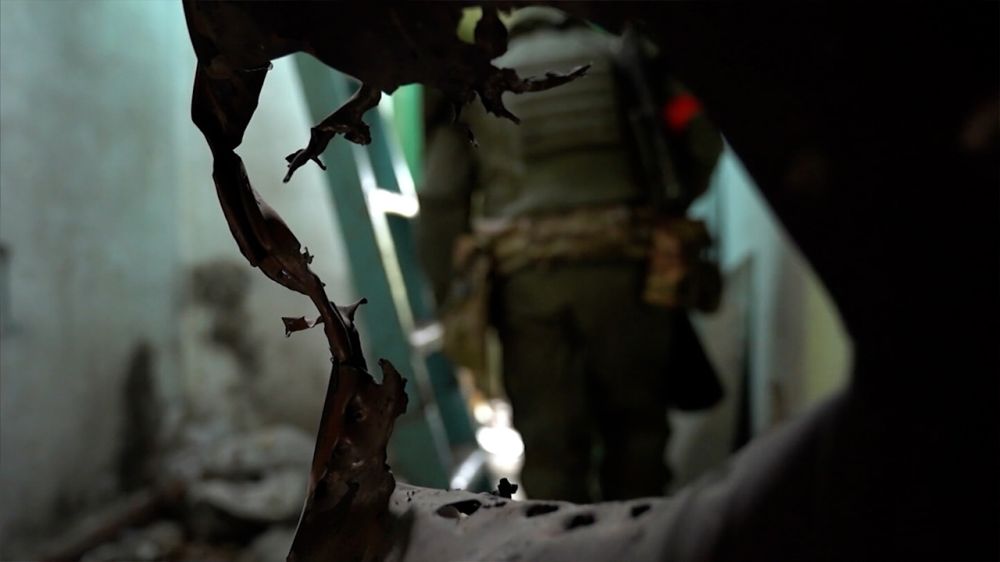 ������ ���� ��������: ��� ������� �������� �������� � ���� ���