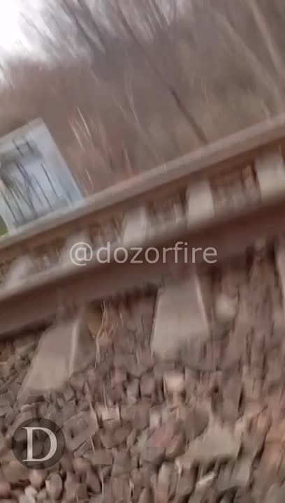 ����� �������� "D" �������� �� �������� ������ �������������� �������� � ���������������� �������