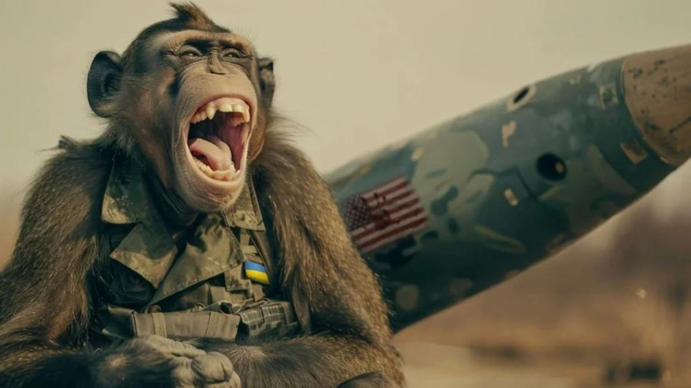 ��������� � �����������: ���� ������ ����� ������ �������� ������� �� ������� ������