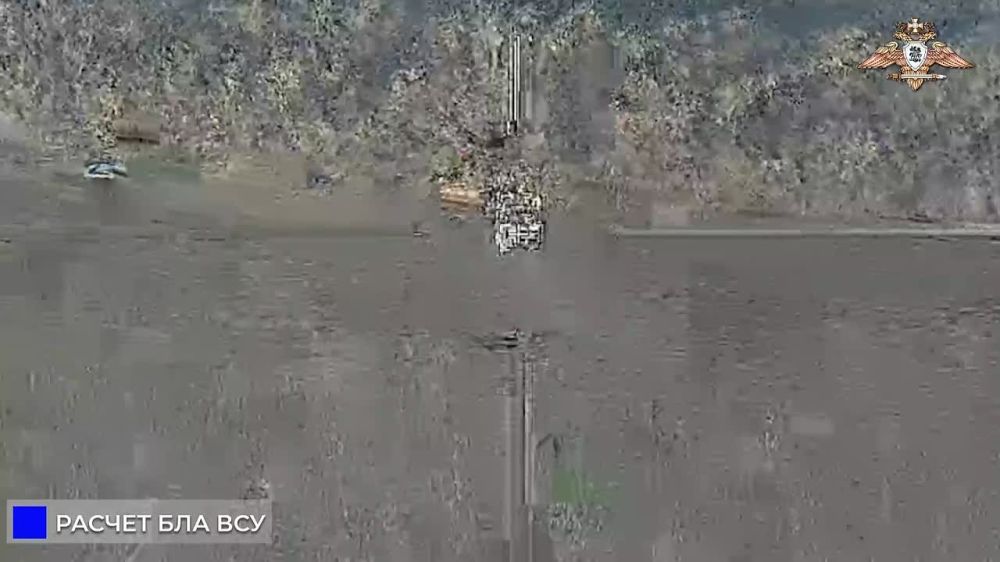 ����� ������ ������ ���������� ����� � ���������������� �������: ���������� ������� ���� � ������������� ���