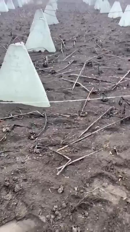 ������������, ��� �� ����� ������� �� �� ��������� ���� ������� �� ����� ��� � ���������������� �������, �� ���� ��� ����� ��������� �� ���������� �����������