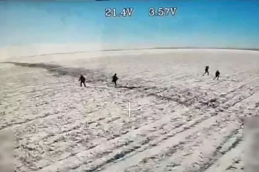 ���� ����� ������ ������� ����� ������� �� ������� ���������������� ������� � ���