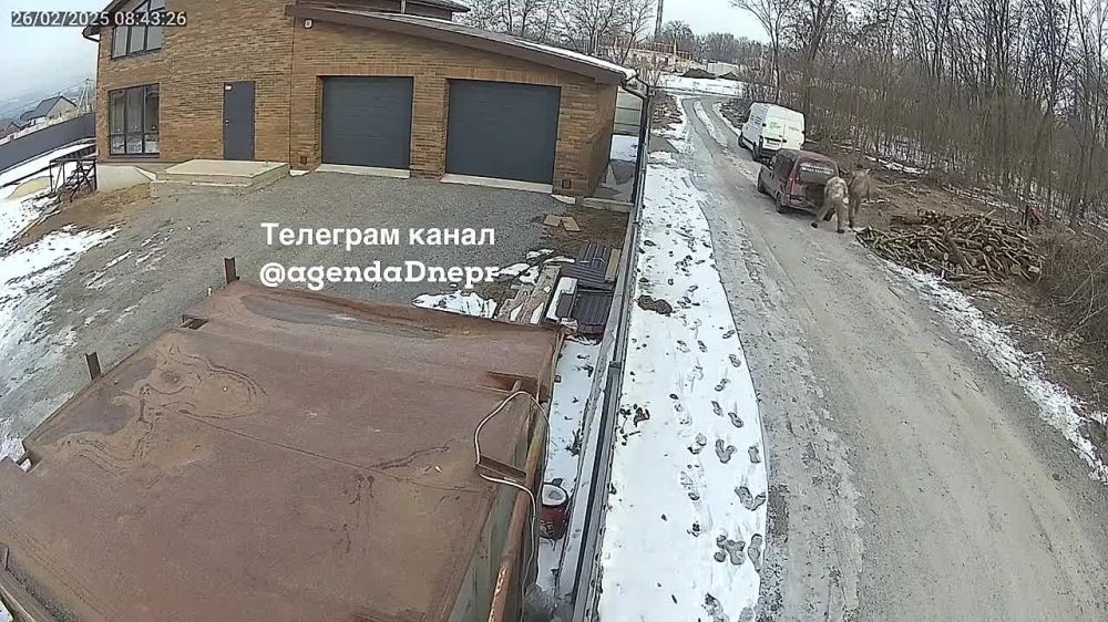 ��������. ���������������� �������