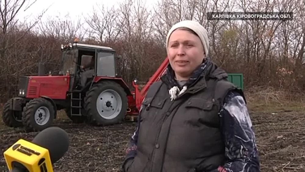 ����������� �����������