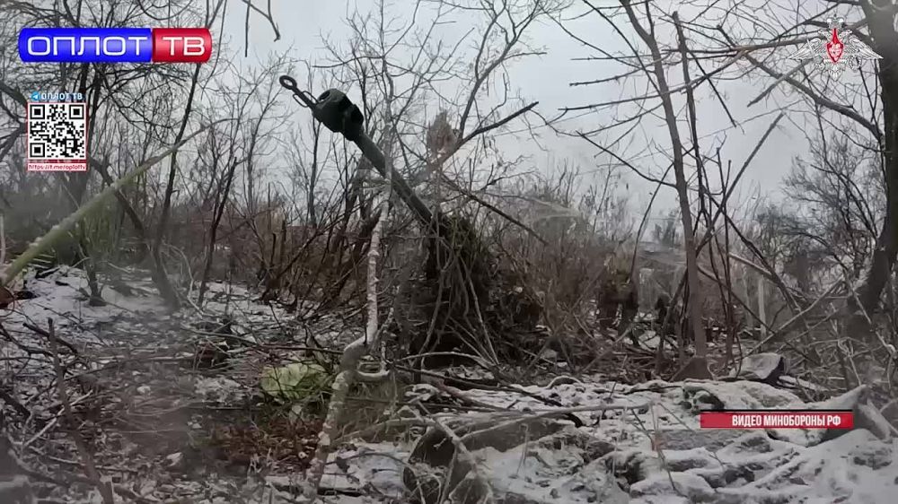 ������ ����� ������ � ���� ���