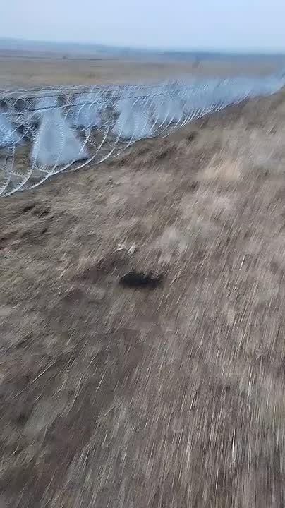  :                  