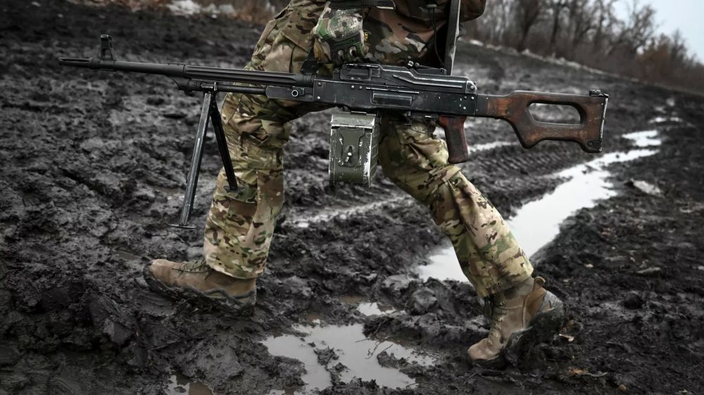 ВС РФ освободили около пять кв. км у Разлива на границе ДНР – Рогов