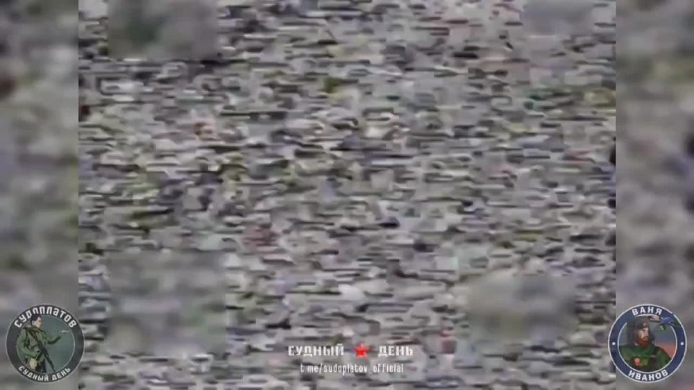 ��������� FPV-������ "��-40" ������� ��� "������" 8x8 �� ���������� ���������������� �������