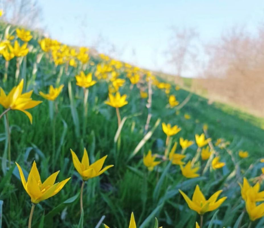 ����� ����� � ������� �������� �� ������� ��-���� �� ������� ���-�� ������ � �������� � ���������������� �������