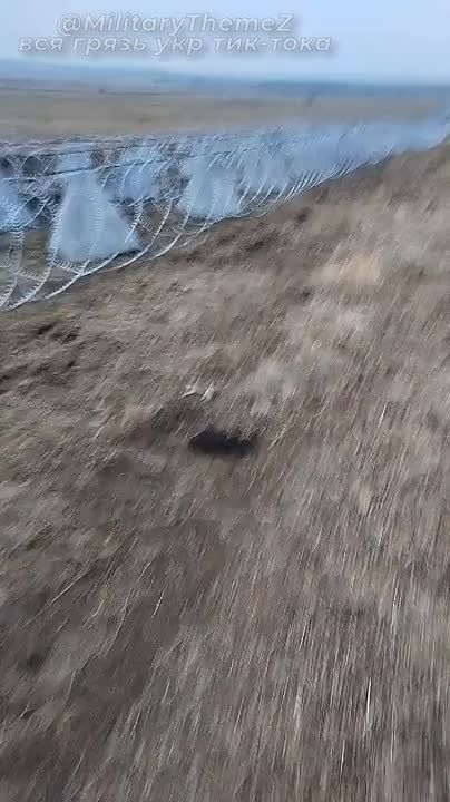 ���������������� ������� �������� � ���������������� ��������