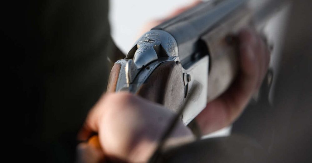 �������� � ������ ������ ���� �� ����������� ���