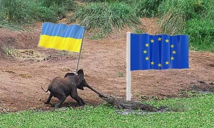 �������� ��������. ������ ��� ����� ����� ������� � �������� ���� � �� ����� �������, �� ������ �������