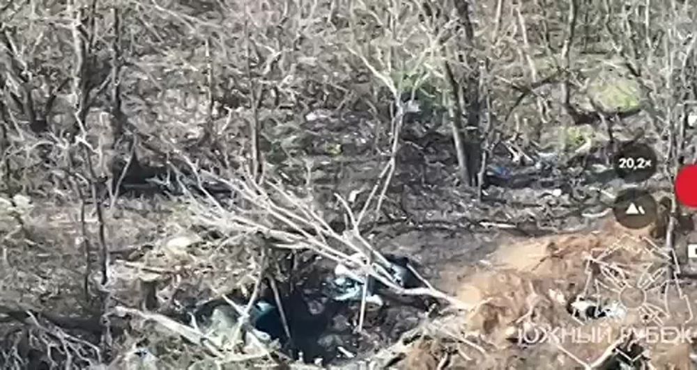 ����� ���������� ���� ��� � ������� � ��������� ������ ������� 39 ����� 68 �� ����� ������