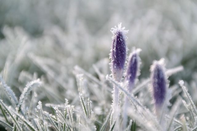 ��������� ������������ ������ � ���������������� �������