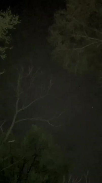 ������ ������� ���� �� ���������������