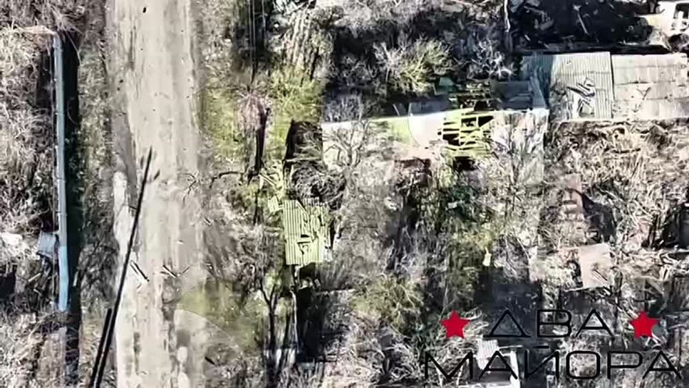 ��� ������: #������ �� ���� 24 ������ 2025 ����