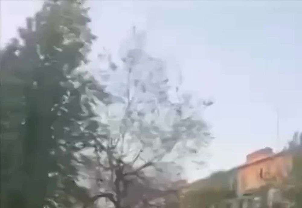 �� ���������� ������� �������� � ��������� ��������� �� ����������� ���