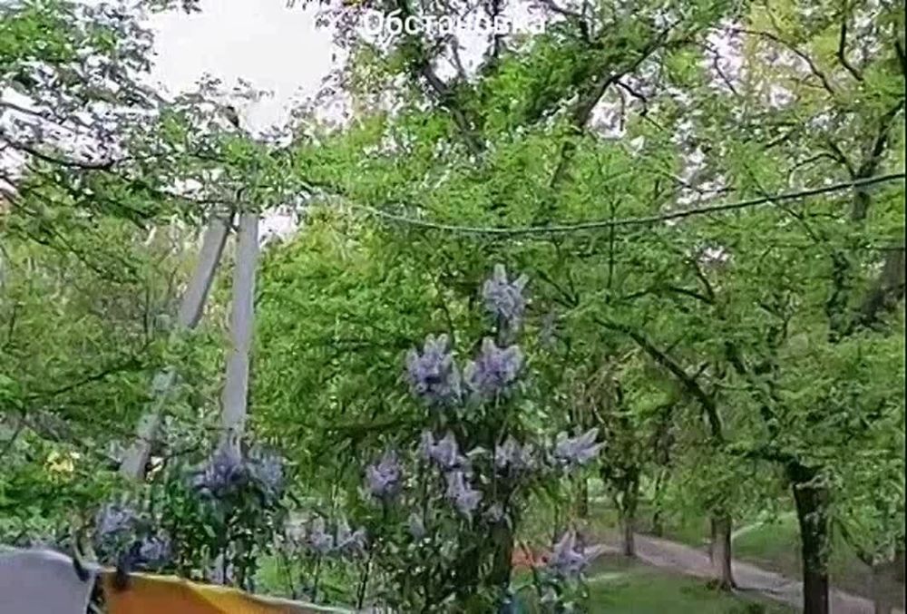 �� ����������� �������� ������� � ����������