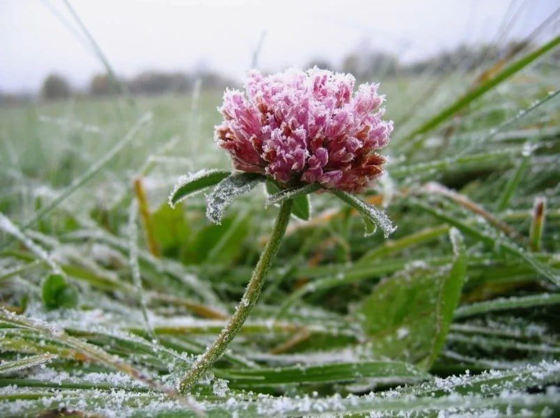 ���� ����� � ���������������� ������� ����� ��������� �� 0 �� 5�� � �������������