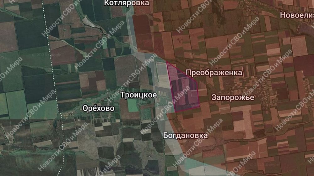 ���� ����� ����������� � �������� ���������������� �������