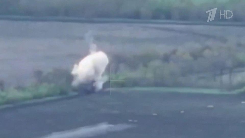 �� ����-�������� ����������� ��� ���� ��� �� ���������� ����� ��������